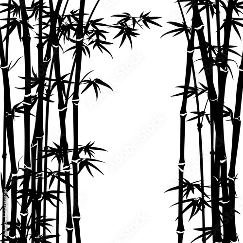 Silhouette bamboo forest full body black color only