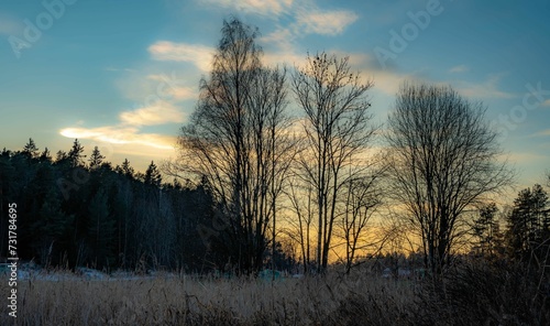 Picturesque dawn sky, with a line of trees and grass in the foreground