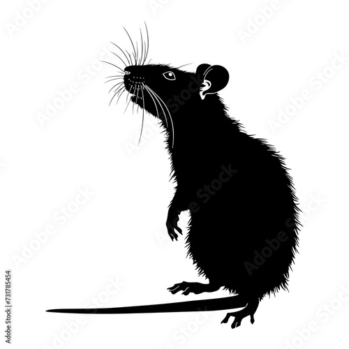 Silhouette rat black color only full body  photo