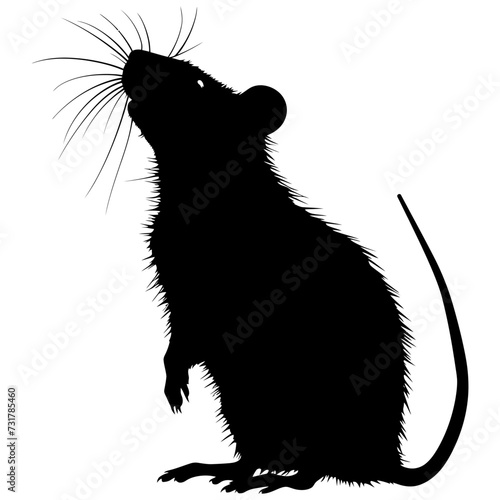 Silhouette rat black color only full body 