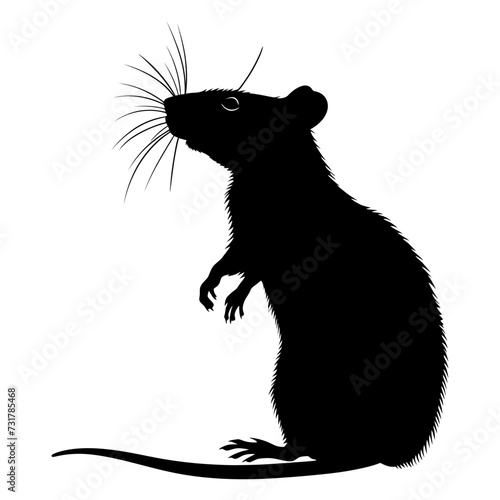 Silhouette rat black color only full body 