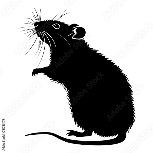 Silhouette rat black color only full body 