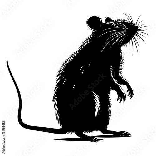 Silhouette rat black color only full body 