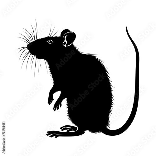 Silhouette rat black color only full body 