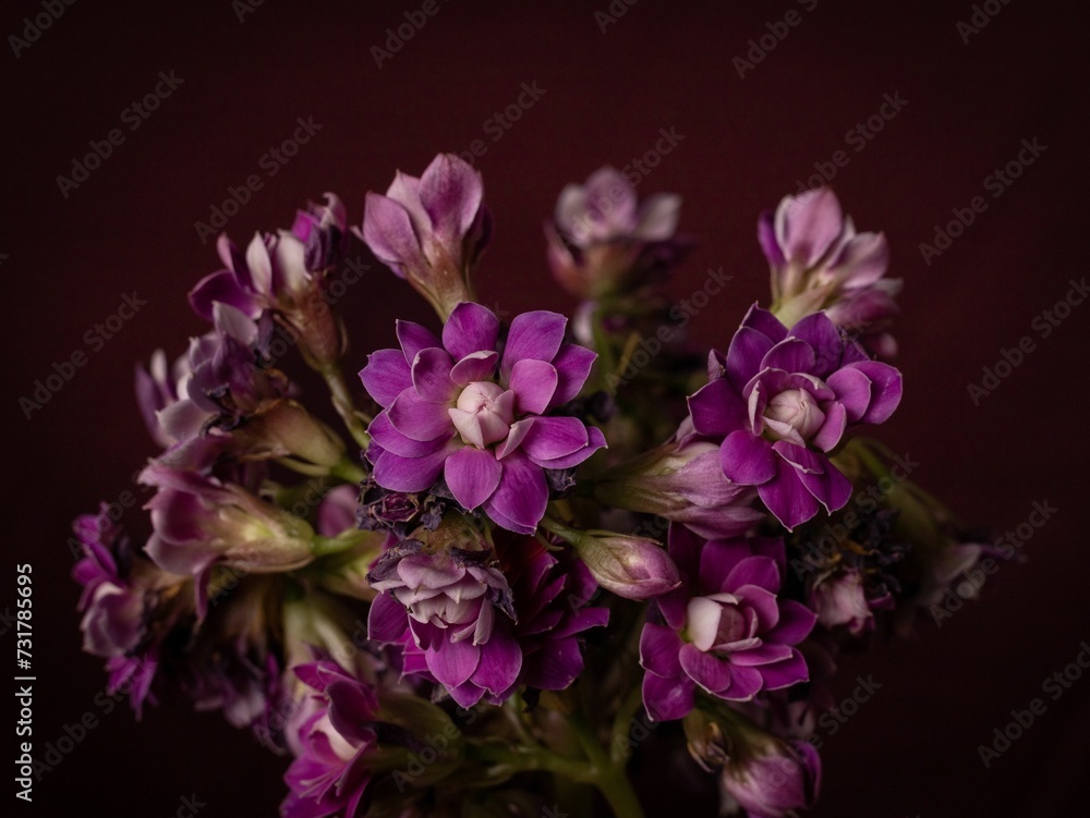 Stunning bouquet of vibrant purple flowers elegantly displayed in a beautiful glass vase Stunning bouquet of vibrant purple flowers elegantly displayed in a beautiful glass vase