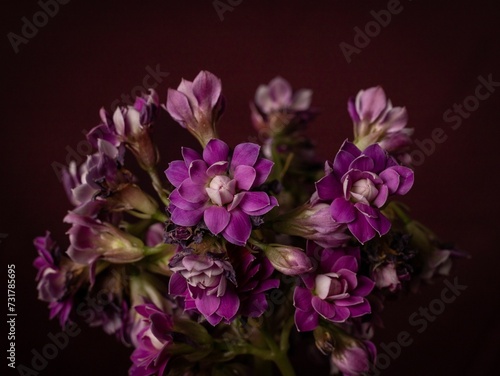 Stunning bouquet of vibrant purple flowers elegantly displayed in a beautiful glass vase