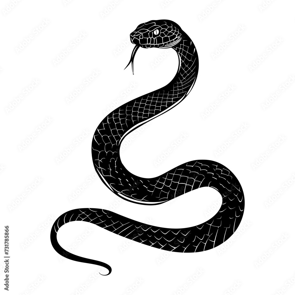 Fototapeta premium Silhouette snake black color only full body 