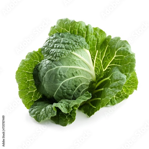 collard isolated vegetables for healthy food