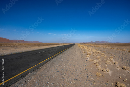 magical beauty yellow mountains  dry dead trees and a desert plain against the sky in the Namibian desert