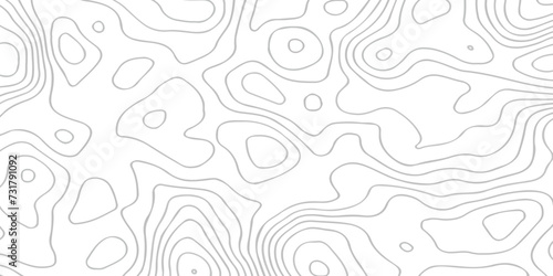 Abstract topography line wave paper curved reliefs background black and white, Background of the topographic line map. Topographic map patterns abstract white topography vector background.