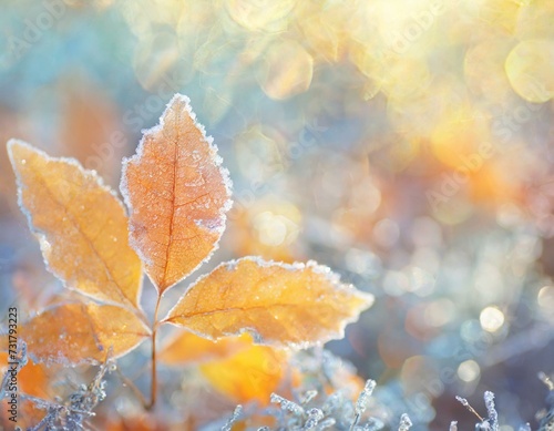 Bright background with colorful leaves covered with frost. Bokeh light, copyspace. 