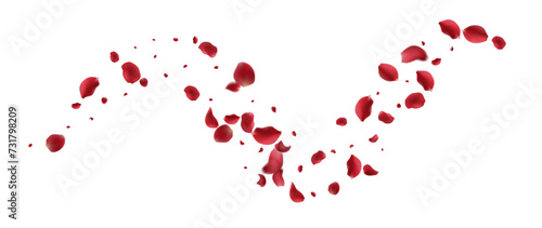 Realistic red rose petals with transparent background. Vector illustration