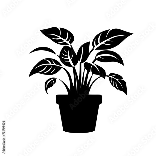  leaf vector  herb silhouette  silhouette plant  silhouette flower  silhouette floral  plantpot  leaf  tree  plant  nature  vector  bamboo  pattern  branch  silhouette  floral  flower  design  