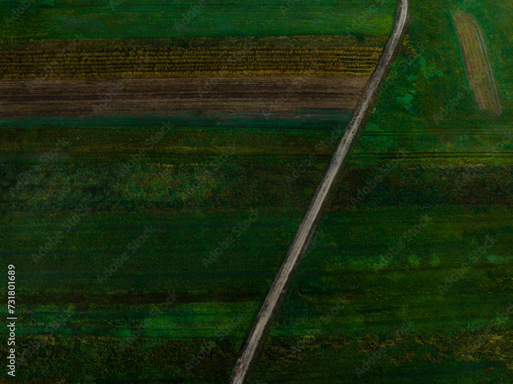 Overhead view of a crop field with green grass and a dirt road. Agricultural fields