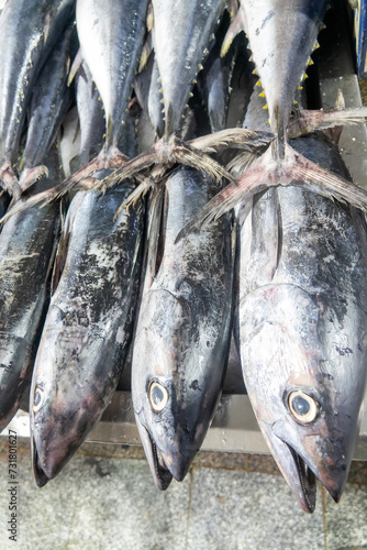 Bandar Abbas, Iran. Fish market. The fish of the Persian Gulf and the Arabian Sea are caught and sold. tuna (Thunnus) photo