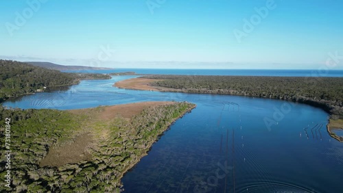 Wallpaper Mural Aerial of the wide Wonboyn River in New South Wales, Australia alongside the green trees Torontodigital.ca