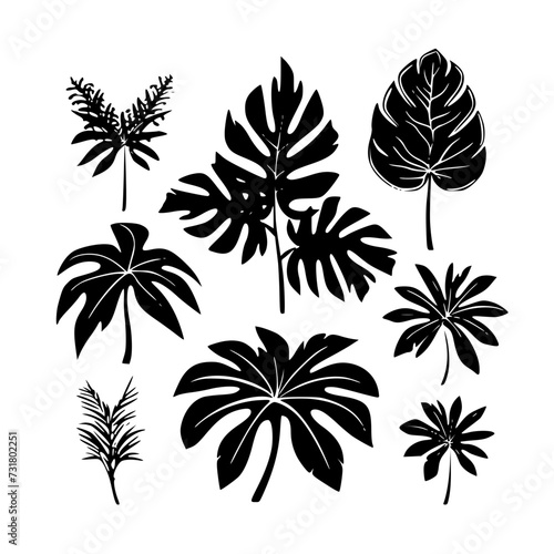  leaf vector  herb silhouette  silhouette plant  silhouette flower  silhouette floral  plantpot  leaf  tree  plant  nature  vector  bamboo  pattern  branch  silhouette  floral  flower  design  illustr