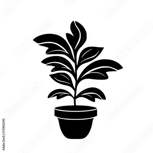  leaf vector  herb silhouette  silhouette plant  silhouette flower  silhouette floral  plantpot  leaf  tree  plant  nature  vector  bamboo  pattern  branch  silhouette  floral  flower  design 