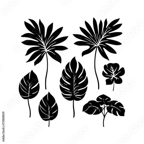  leaf vector, herb silhouette, silhouette plant, silhouette flower, silhouette floral, plantpot, leaf, tree, plant, nature, vector, bamboo, pattern, branch, silhouette, floral, flower, design, © vector