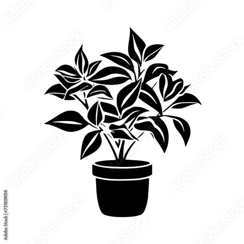  leaf vector  herb silhouette  silhouette plant  silhouette flower  silhouette floral  plantpot  leaf  tree  plant  nature  vector  bamboo  pattern  branch  silhouette  floral  flower  design 