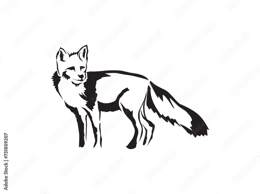 Fox vector hand drawn illustration. Side view of standing animal