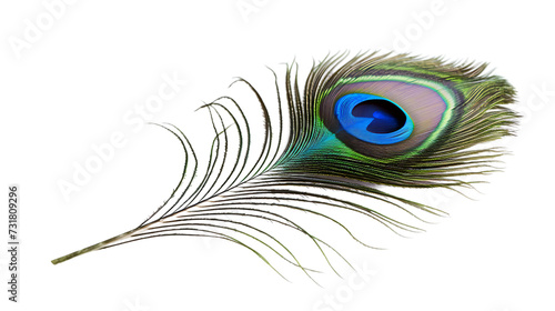 peacock feather isolated on white background png