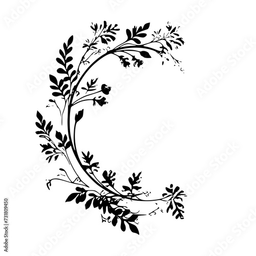 frame  flower  floral  design  vector  pattern  illustration  decoration  art  ornament  border  leaf  vintage  nature  plant  element  decor  black  ornate  swirl  branch  silhouette  decorative  sty