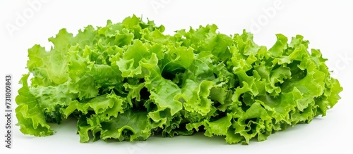 A variety of lettuce leaves, a leaf vegetable, displayed on a white background. It is commonly used as an ingredient in various cuisines, dishes, recipes, and as a produce.