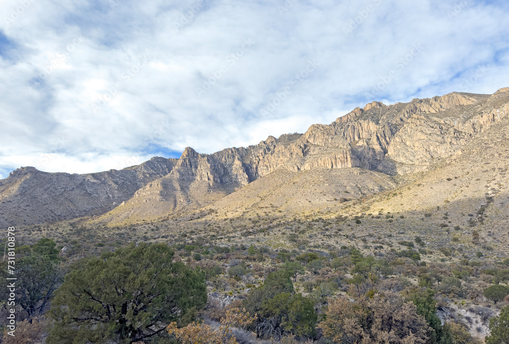 A vast landscape of lush greenery and desert sands with large mountains in the background. This scenic view is from Guadalupe Mountains National Park in Texas. 
