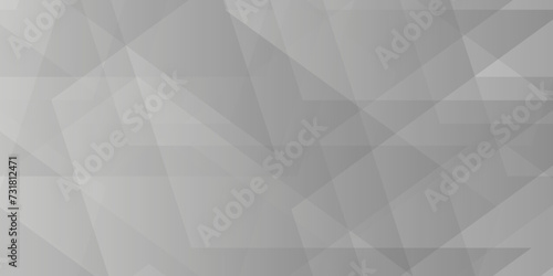 Fototapeta Naklejka Na Ścianę i Meble -  Abstract minimal geometric white and gray light background design. white transparent material in triangle diamond and squares shapes in random geometric pattern.
