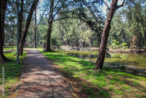path in the park with lake and trees at taman gelora, kuantan pahang. photo