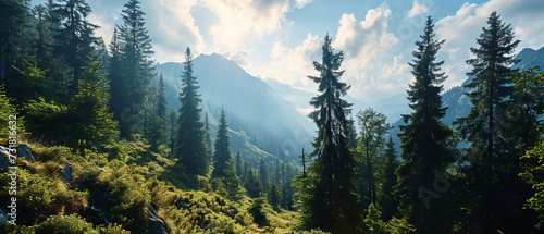 Alpine Serenity in Verdant Forest