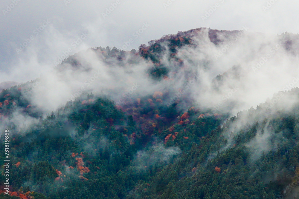 The mountain landscape shrouded in mist with autumn trees.