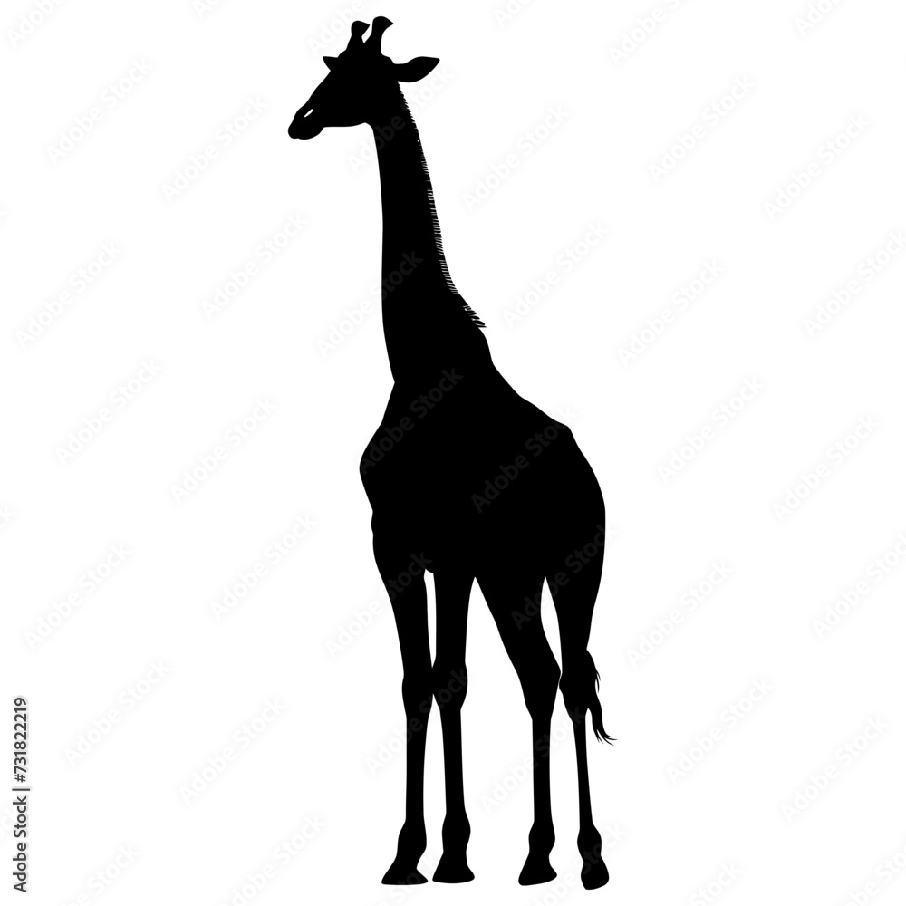 Silhouette giraffe black color only full body Silhouette giraffe black color only full body