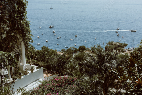 Positano Coastal View: Scenic Garden Oasis with Palm Trees and Yachts