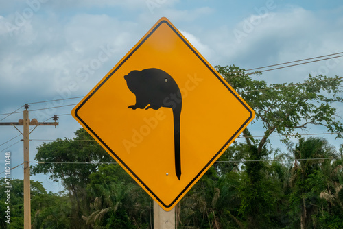 Howler monkey crossing road sign in pampas region of Rurrenabaque on the Beni river, Beni Department, Amazonía, Bolivia photo