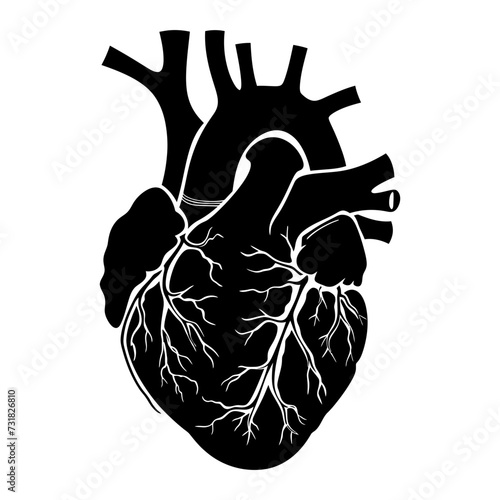 Silhouette for internal organs of heart black color only