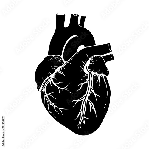 Silhouette for internal organs of heart black color only