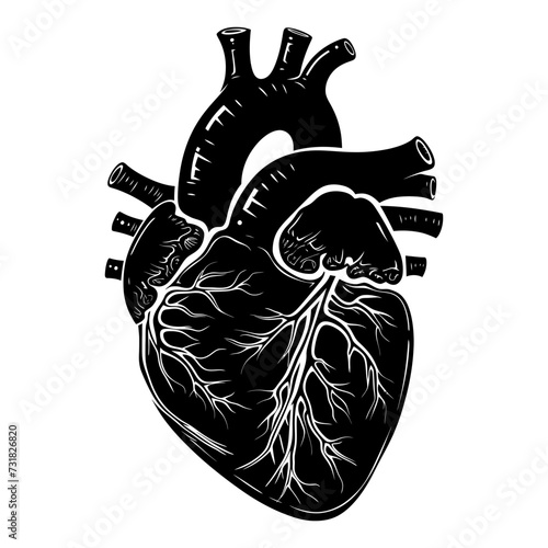 Silhouette for internal organs of heart black color only