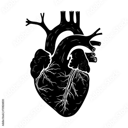 Silhouette for internal organs of heart black color only