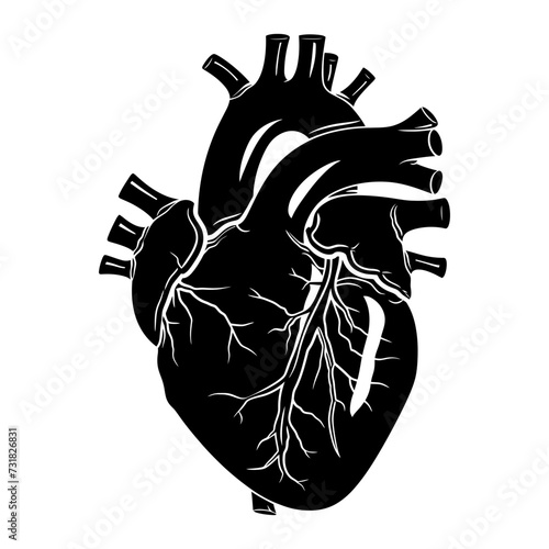 Silhouette for internal organs of heart black color only