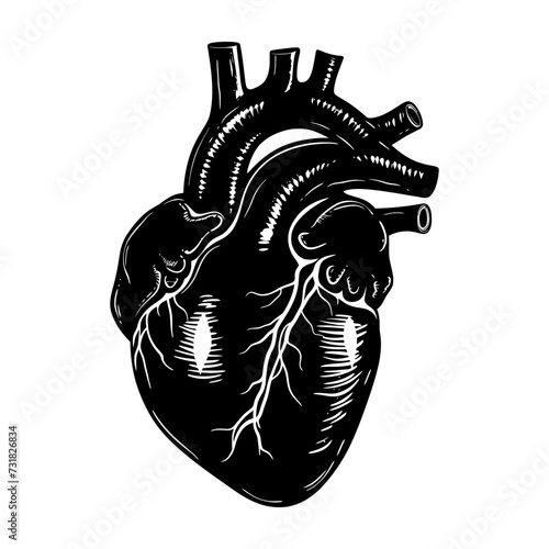 Silhouette for internal organs of heart black color only