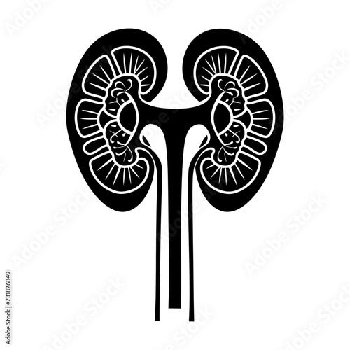Silhouette for internal organs of kidney black color only