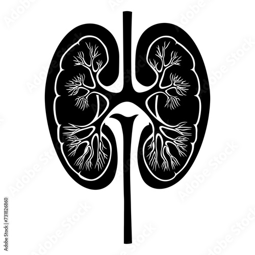 Silhouette for internal organs of kidney black color only