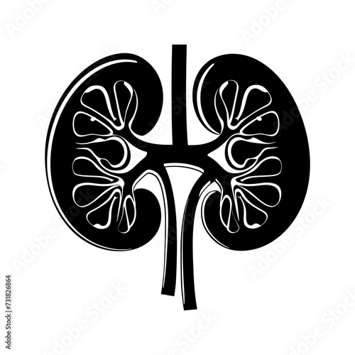 Silhouette for internal organs of kidney black color only