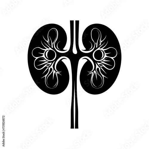 Silhouette for internal organs of kidney black color only