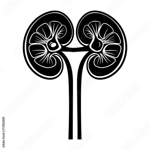 Silhouette for internal organs of kidney black color only