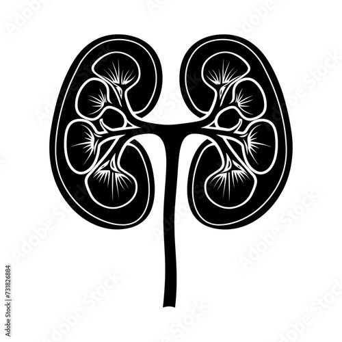 Silhouette for internal organs of kidney black color only