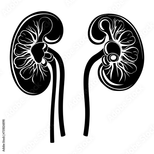 Silhouette for internal organs of kidney black color only