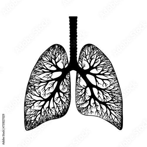 Silhouette for internal organs of lungs black color only